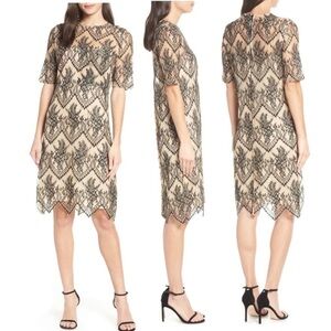 CAARA Nordstrom Scallopd Lace Shift Dress Black Beige Holiday Party Wedding Sz M